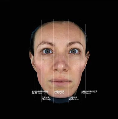 Facial Mapping