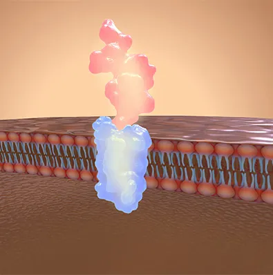 Reveals Hidden Problems